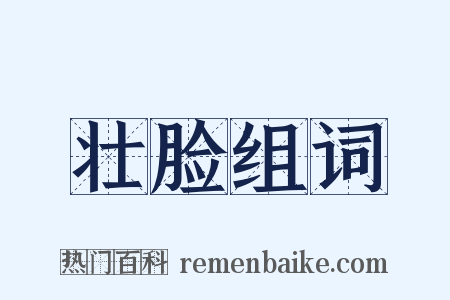 壮脸组词是什么意思的图片